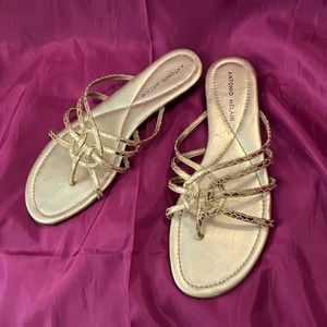 Gold flat Antonio Melani sandals
